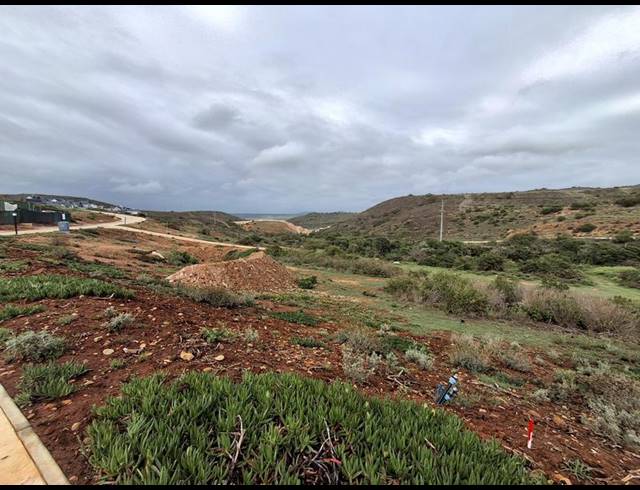 LAND FOR SALE IN OUTENIQUASBOSCH
